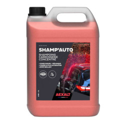 SHAMPOING VOITURE 05L