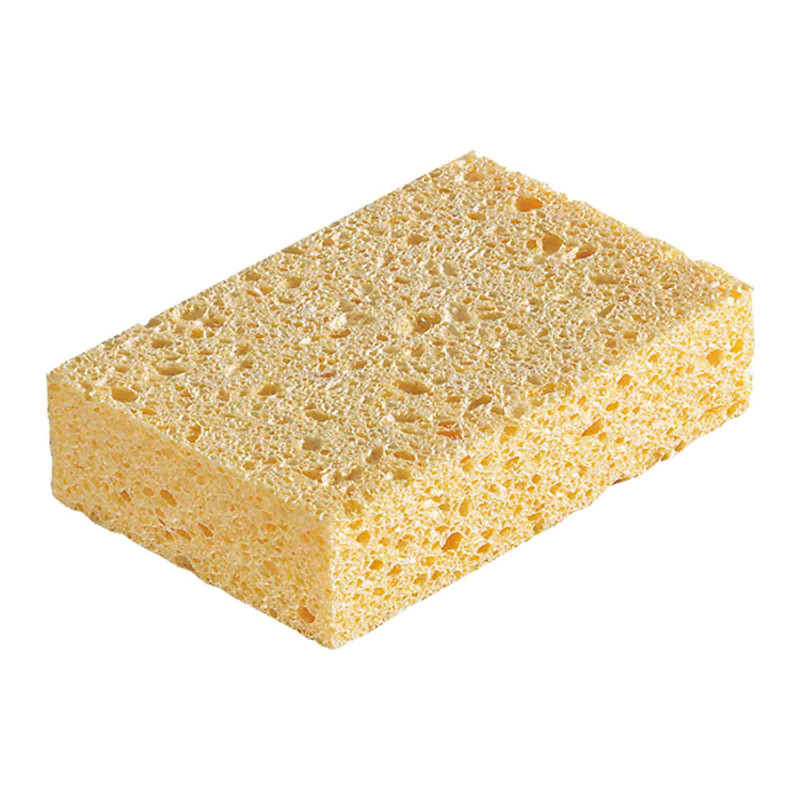 EPONGE VEGETALE