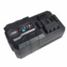 CHARGEUR DE BATTERIE POUR PISTO-25MK ET PISTO40MK