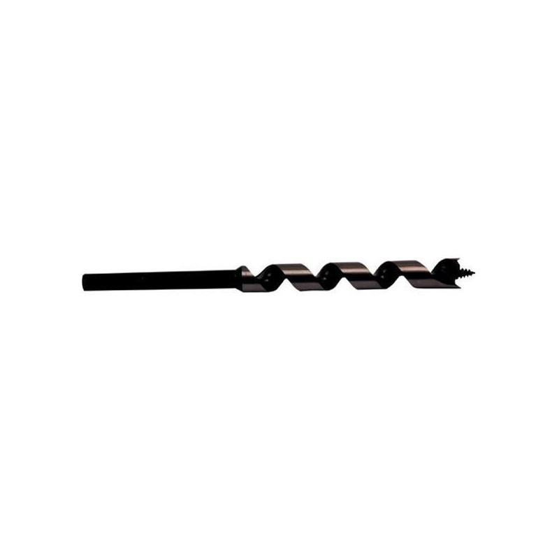 FORET BOIS SPIRALE UNIQUE